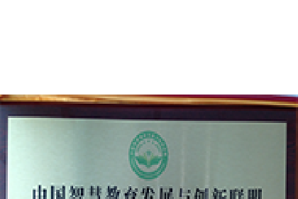 中国智慧教育发展与创新联盟常务理事（铜牌）